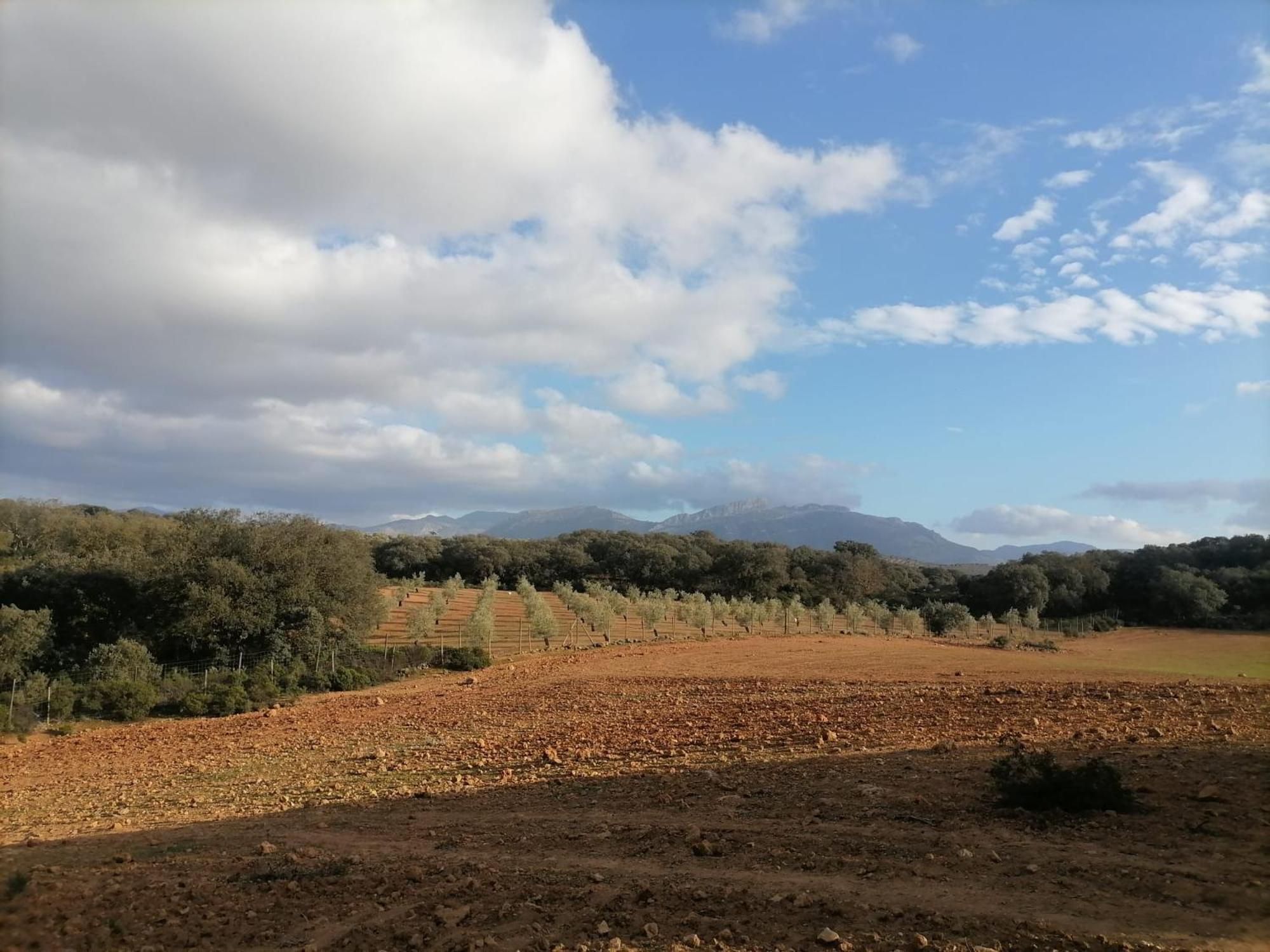 Casa Rural El Contarin - An Andalusian Escape, Archidona, Malaga Exteriér fotografie